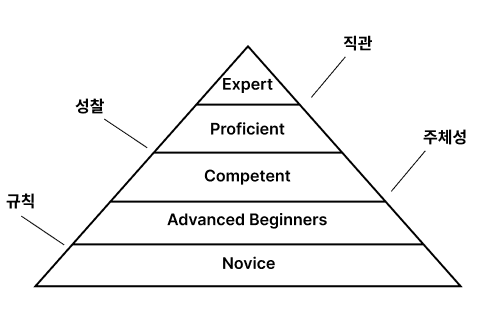 드라이퍼스 모델 썸네일